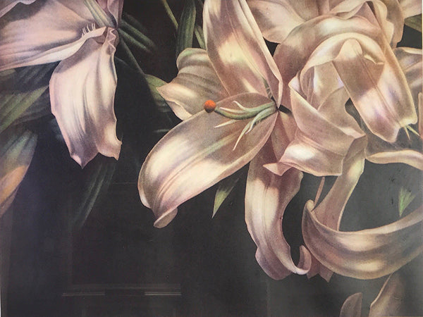 Jason Benjamin - More than he could hold