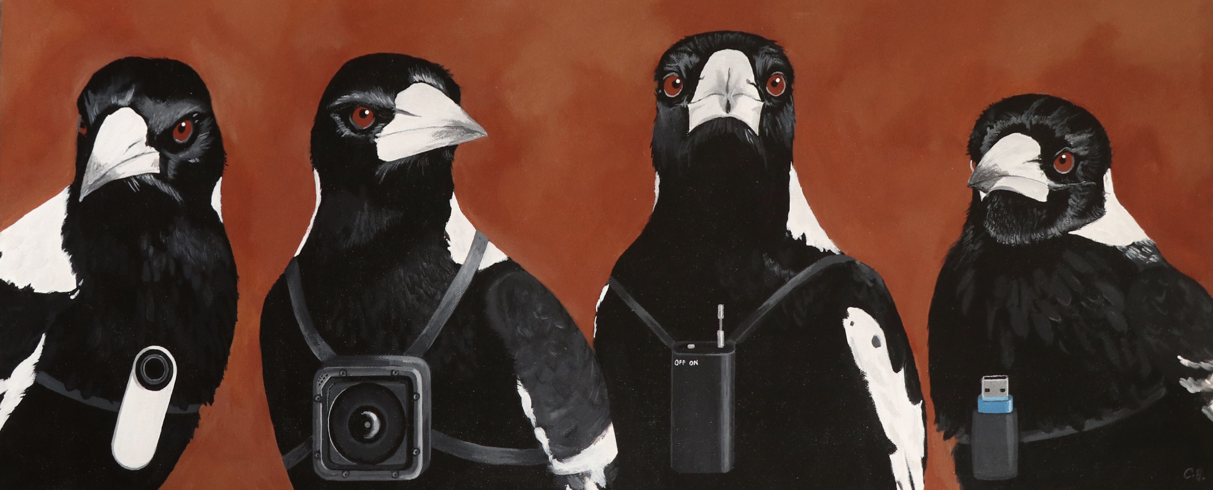 CATHERINE BANNEY | STORIES WITHOUT WORDS | FEBRUARY 2024