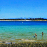 Spring morning at Trial Bay