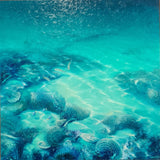 Under the Sea
