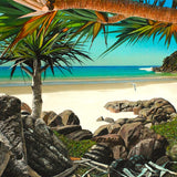 Home of the Silver Gull, Little Bay, Arakoon, Trial Bay - South West Rocks