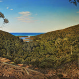 Coastal gem, Glenrock Lagoon