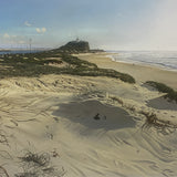 Dawn on the Dunes, Nobbys Beach