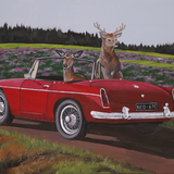 Deer Park