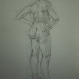 Life study (female back view) (PLEDGE)