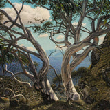 High Country sentinels