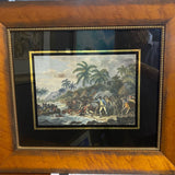 Captain Cook - death