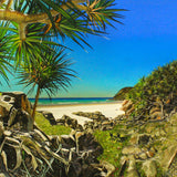 Pandanus at Little Bay, Arakoon, South West Rocks