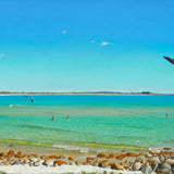 Trial Bay to South West Rocks