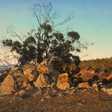Kelly Country, Euroa Victoria Two