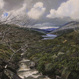 Stormy sky in the high country