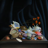Treasures of the Ocean