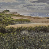 Winter morning on Nobby's dunes