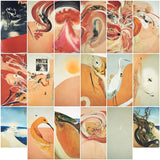 American Dream 18 Panel