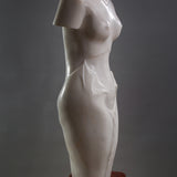 Rosapearl (Pledge)