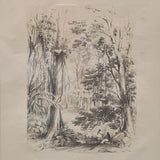 7. Scene near Brisbane Waters