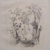 10. Brush scene, Illawarra