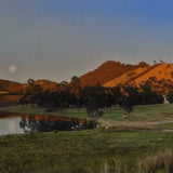 Moonrise over Lake St Clair - Hunter Valley