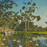 Autumn at the Washpool, near Scone