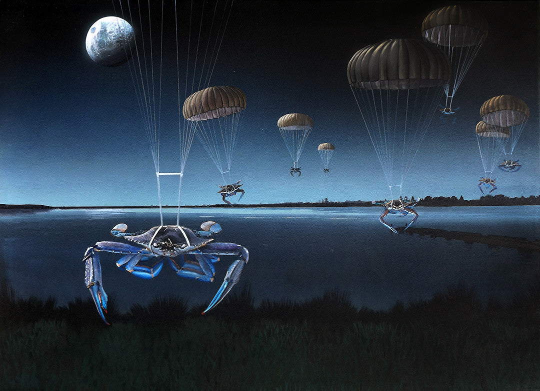 Blue Swimmer Drop