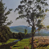 Hunter River at Gundy NSW