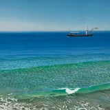 The David Allen off Newcastle