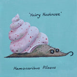 Hairy Hooknose