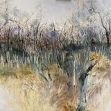 Grass trees in spring flowers, Wooli