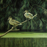 Chestnut teal ducks perched