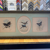 3 Panel birds (Pledge)