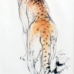 Janet Hoyer Cobb Art