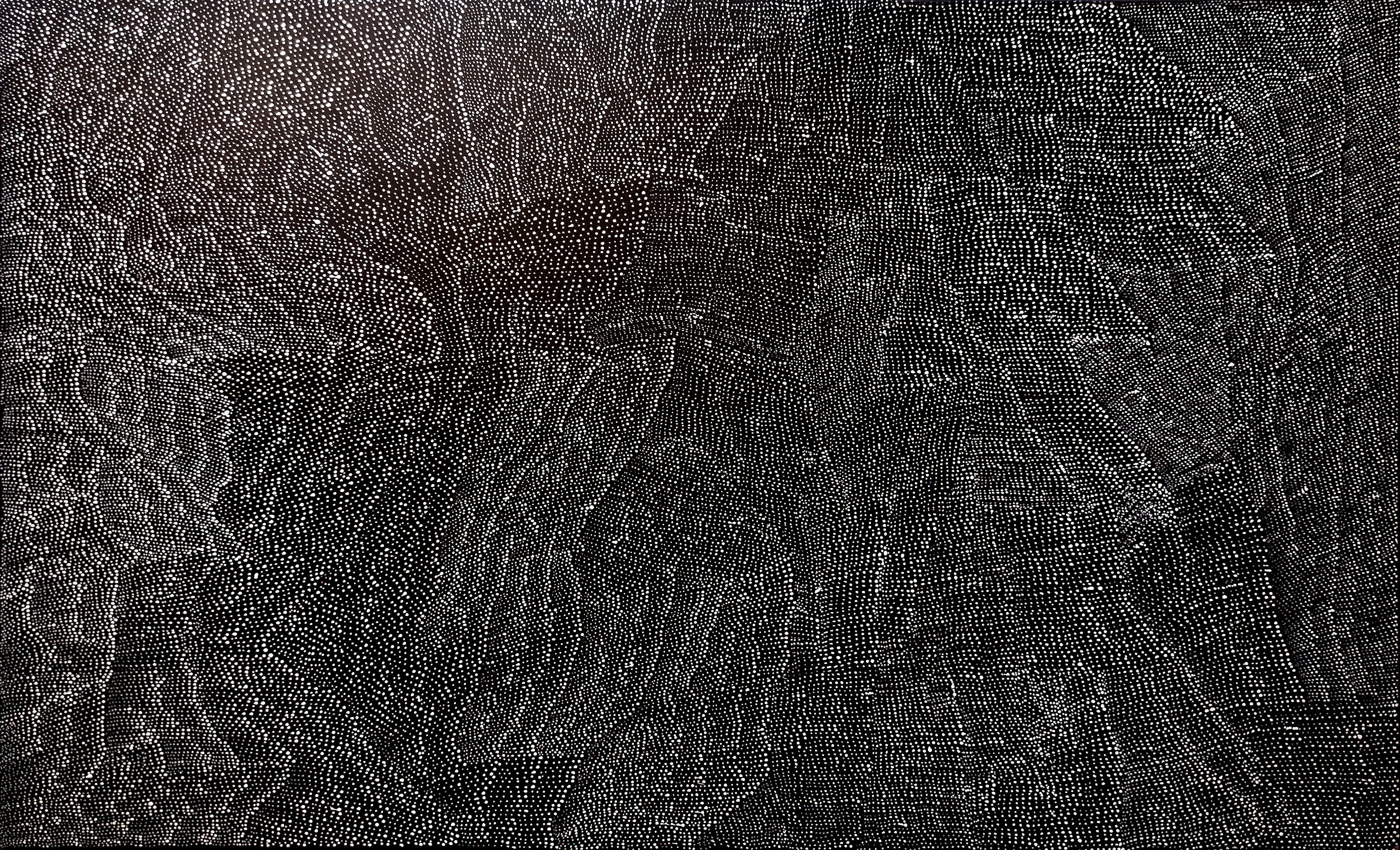 Lily Kelly Napangardi Art