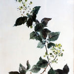 Lillian Sutherland Art