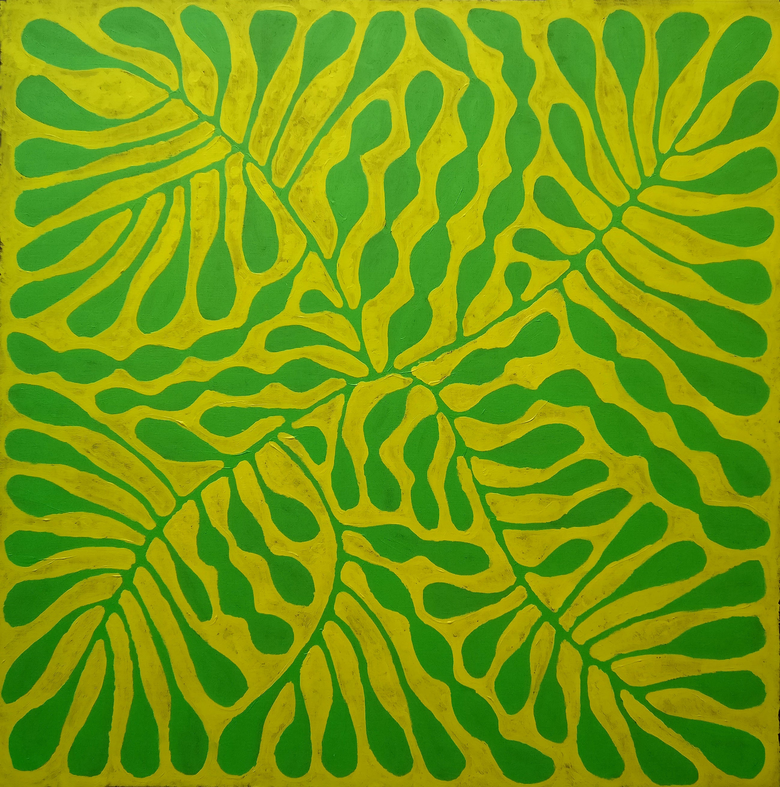 Mitjili Naparrula Art