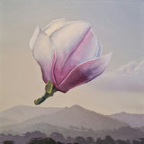 Magnolia Aloft 1