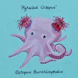 Pig-tailed Octopus