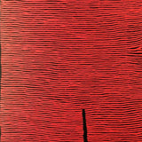 Ronnie Tjampitjinpa art