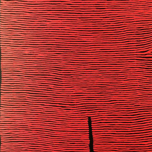 Ronnie Tjampitjinpa art