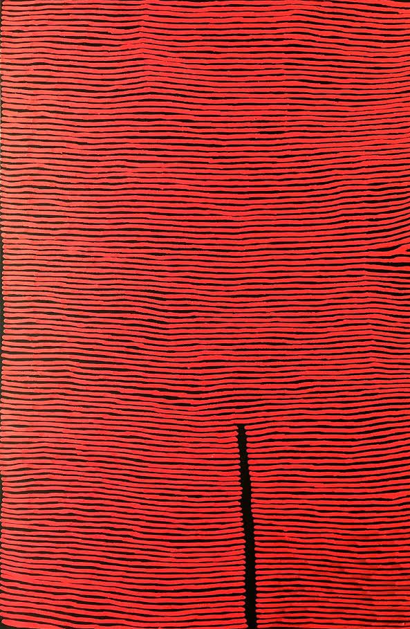 Ronnie Tjampitjinpa art