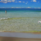 Summer dip with gull, girl and wave