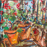 Geraniums in Terracotta pots