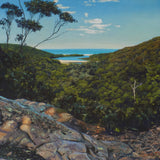 The bush track, Glenrock Reserve