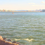 The Harbour, Newcastle (Pledge)