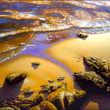 Neil Taylor art