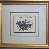 Ex Libris | Bookplate