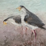 Ground Plover