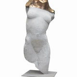 Female torso