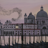 Portrait of two venetian cats