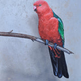 The King Parrot