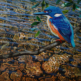 Azure Kingfisher hunting